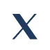 Twitter icon